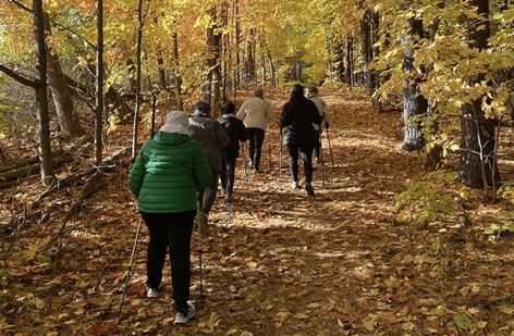 Health and Wellness programs