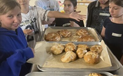 2nd Annual Palgrave Junior Bake Off